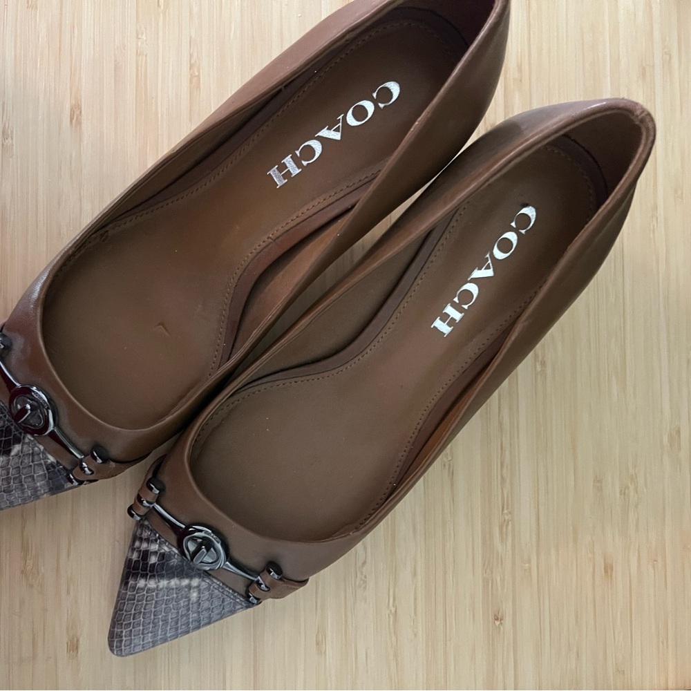 Laurie Coach pointed kitten heels